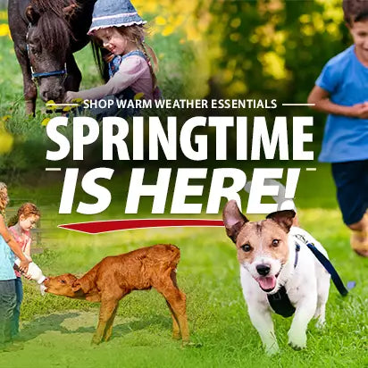 Spring Time is here. Banner with animals in the spring.