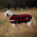 Expression "Buffalo Check" Fleece Dog Rug - 24 in  