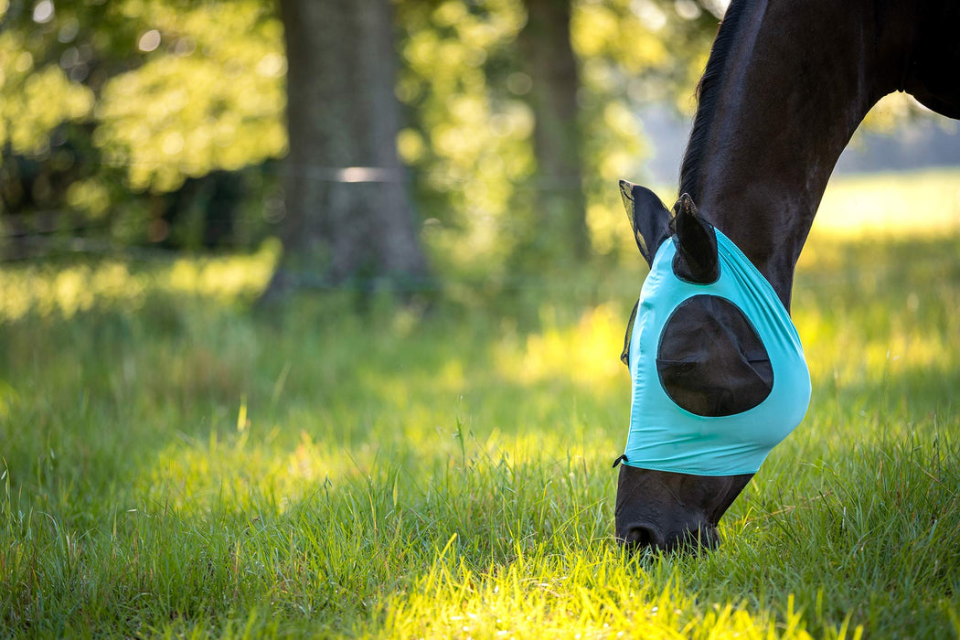 Lycra Fly Mask with Ears for Horses - Jeffers Turquoise Full 