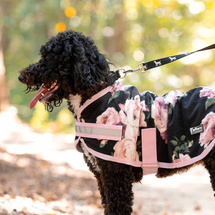 ¡PREVENTA! Jersey de lana para perros Jeffers Expression, modelo Skater Pup