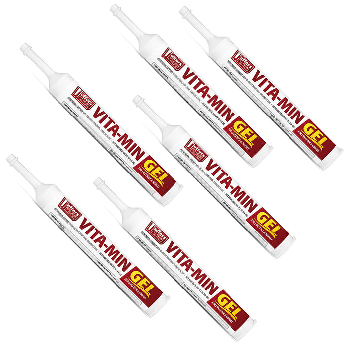 Jeffers Vita-Min Gel with Vit E & B12 for Cattle, Horses, Sheep, Goats & Swine