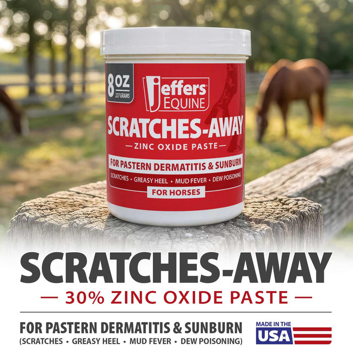 Jeffers Scratches Away Zinc Oxide Paste for Horses, Scratches, Greasy Heel & Pastern Dermatitis