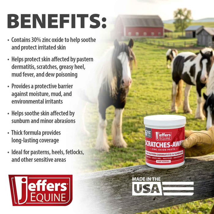 Jeffers Scratches Away Zinc Oxide Paste for Horses, Scratches, Greasy Heel & Pastern Dermatitis