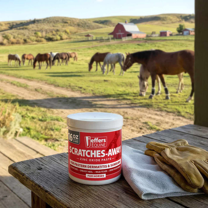 Jeffers Scratches Away Zinc Oxide Paste for Horses, Scratches, Greasy Heel & Pastern Dermatitis