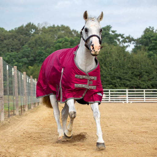 Jeffers 1680D Romper Stomper Horse Blanket, 240g - Maroon/Dark Gray 84 in 