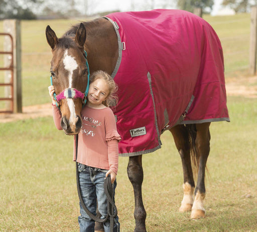 Jeffers Romper Stomper Turnout Sheet, 1680D - Maroon/Dark Gray 75 in 