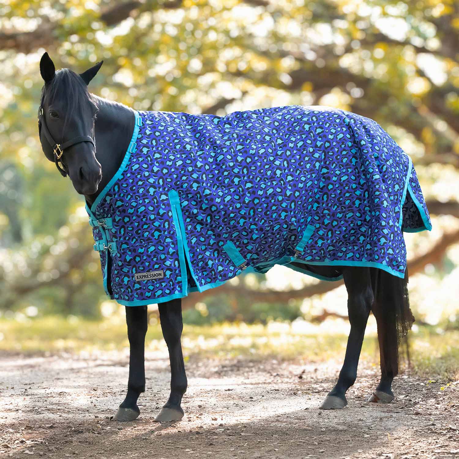 Jeffers Expression 1200 Denier Standard Neck Turnout Horse Blanket