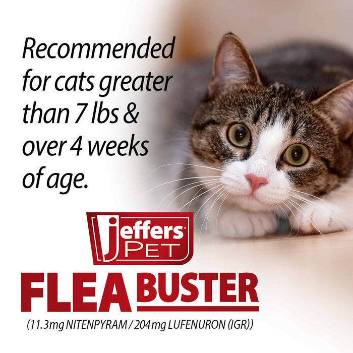 Jeffers Flea Buster Cat Monthly Oral Flea Supplement