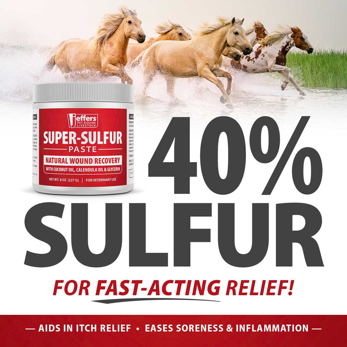 Jeffers Super-Sulfur Skin & Wound Healing Paste for Pets, Horses, & Livestock