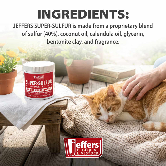 Jeffers Super-Sulfur Skin & Wound Healing Paste for Pets, Horses, & Livestock