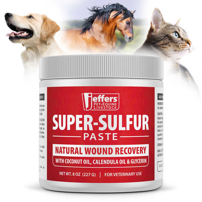 Jeffers Super-Sulfur Skin & Wound Healing Paste for Pets, Horses, & Livestock