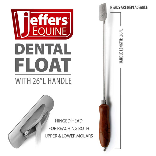 Jeffers Dental Float (& Replacement Blades) - Equine Dental Float w/ 26" handle  