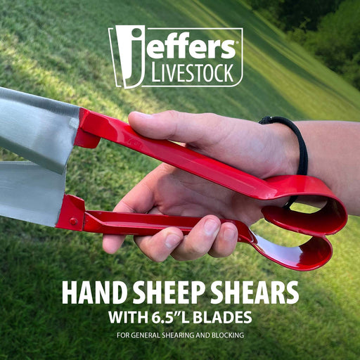 Jeffers Hand Sheep Shears -   