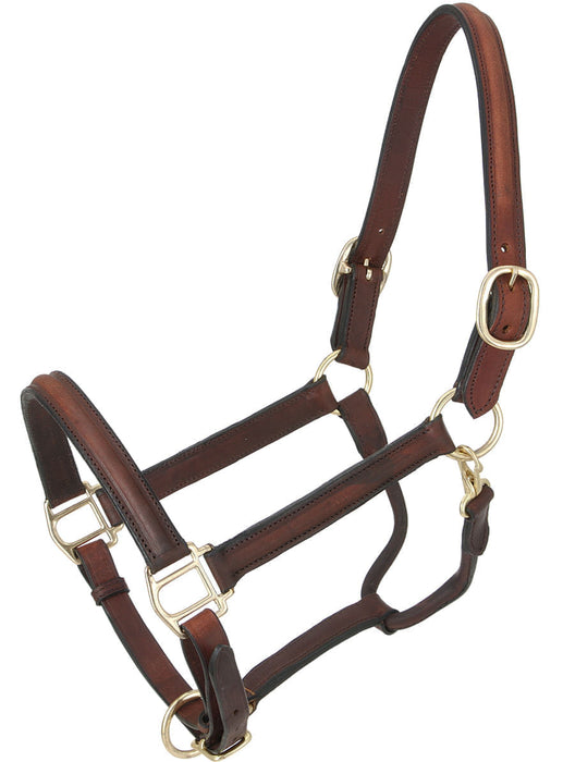 Royal King Raised Leather Halter -   