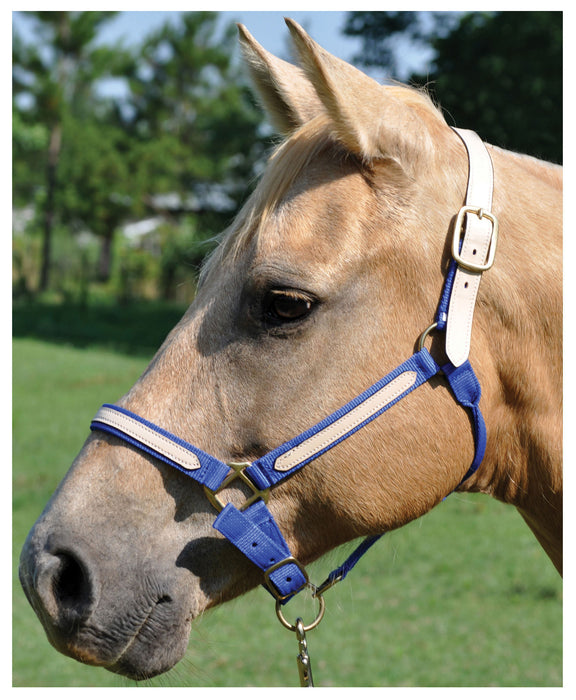 Tough1 Leather Overlay Breakaway Horse Nylon Halter - Royal Blue  