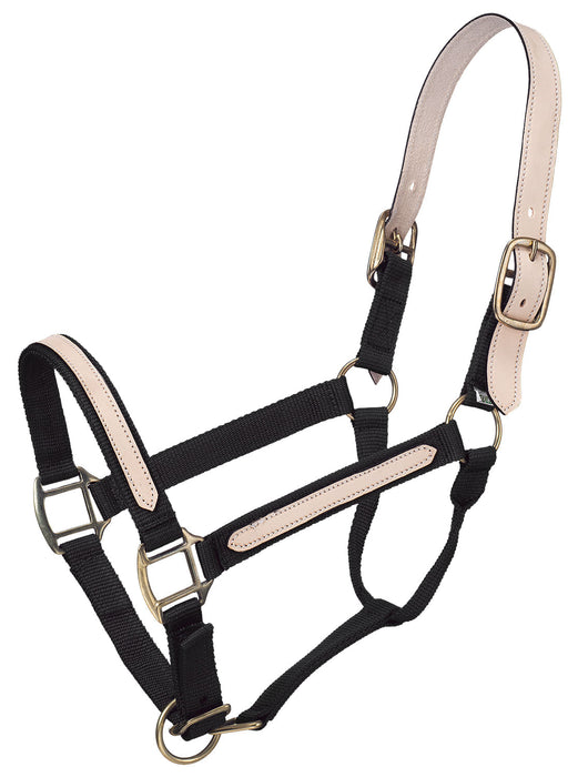 Tough1 Leather Overlay Breakaway Horse Nylon Halter - Black  