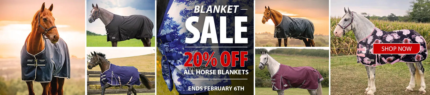 Blanket Sale - 20% off - Ends Feb 6