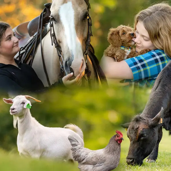 Jeffers Pet Equine Livestock