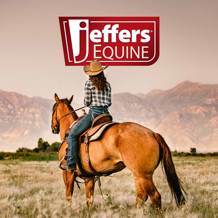 Jeffers Equine Humane Horse Twitch