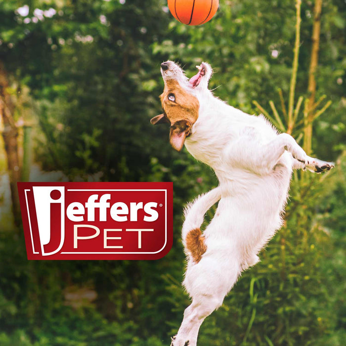 Jeffers Pet Christmas Characters Unstuffed Plush Squeaker Dog Toys, 12"L