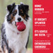 KONG Goodie Bone Holiday Md Color Red