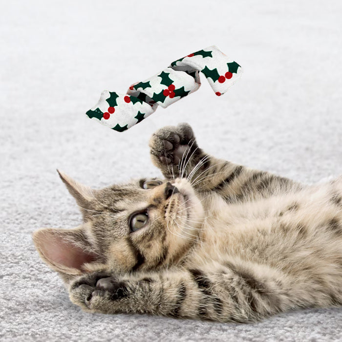 Kong Holiday Cat Active Curlz with Catnip, Assorted, 2-pk