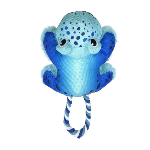 KONG Cozie Tuggz Frog - Cozie Tuggz Frog, Sm, Blue  