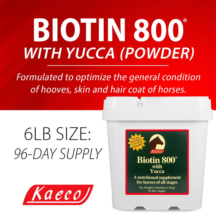 Biotin 800 Powder with Yucca