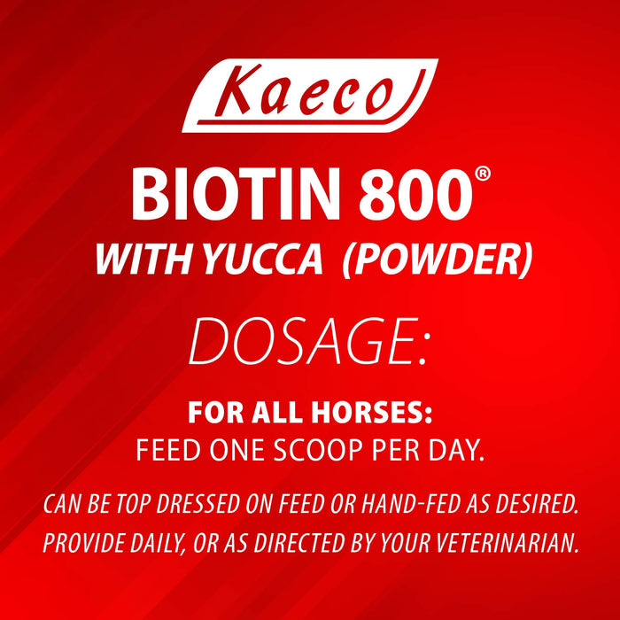 Biotin 800 Powder with Yucca