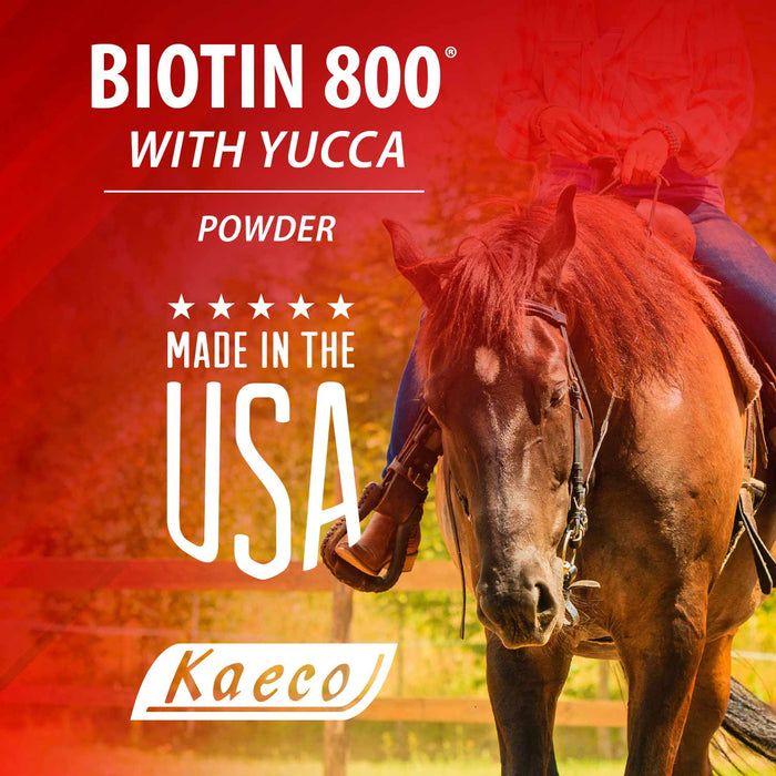 Biotin 800 Powder with Yucca