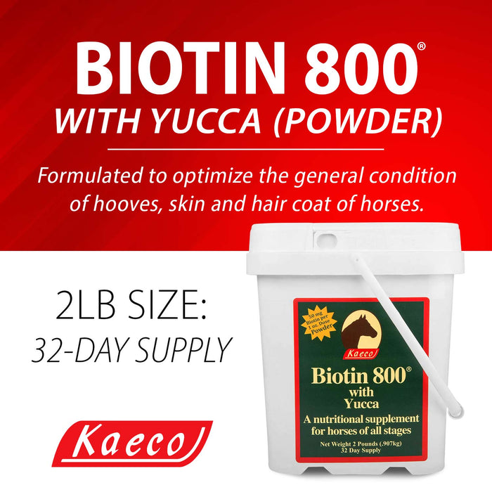 Biotin 800 Powder with Yucca