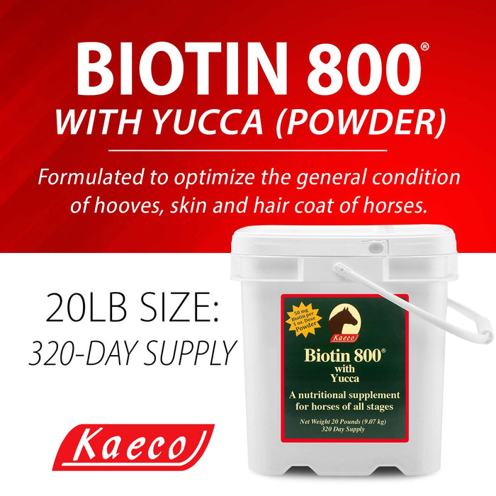 Biotin 800 Powder with Yucca