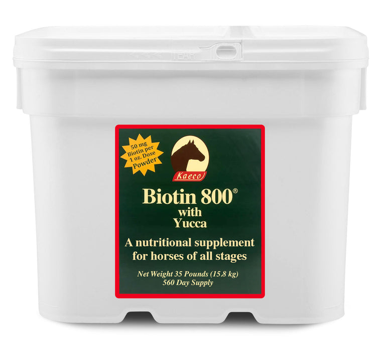 Biotin 800 Powder with Yucca