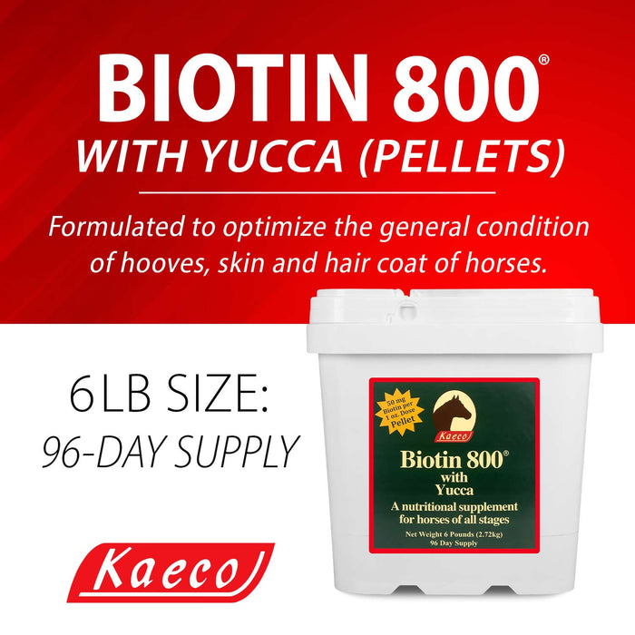 Biotin 800 Pellets