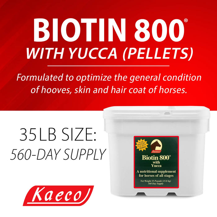 Biotin 800 Pellets