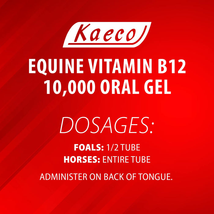 Gel de vitamina B12 para equinos, monodosis