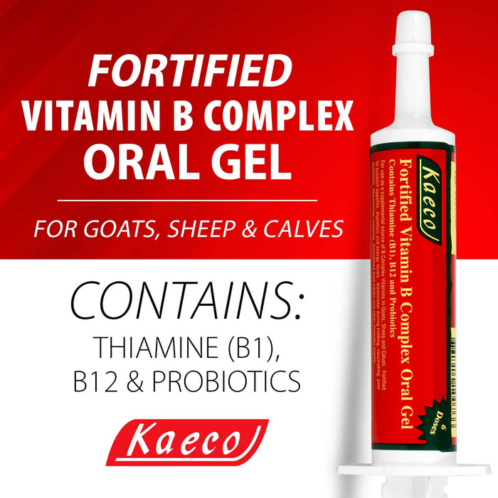 Gel de complejo de vitamina B fortificado para cabras, ovejas y terneros, 30 g