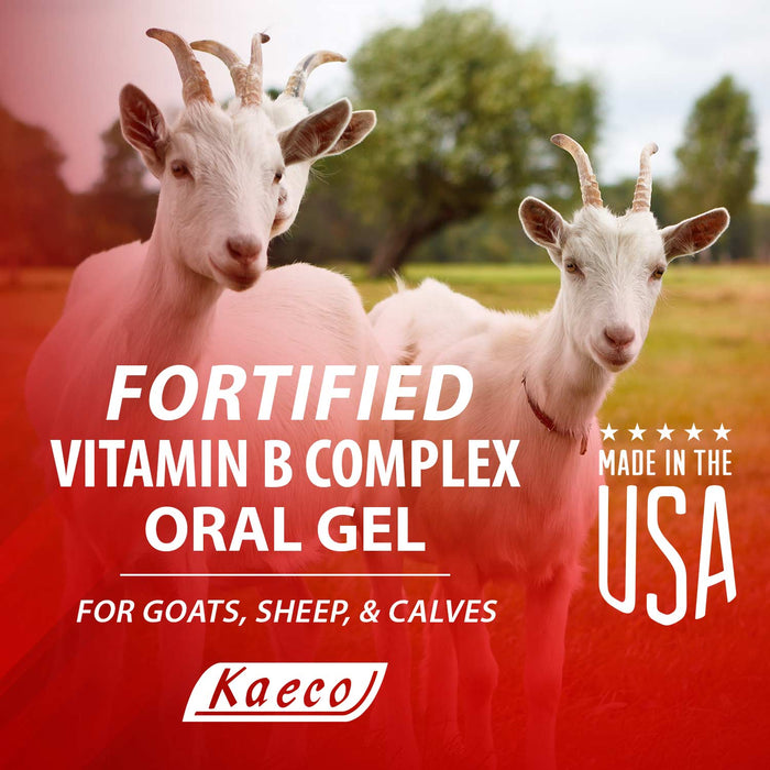 Fortified Vitamin B Complex Gel for Goats, Sheep, & Calves, 30 g