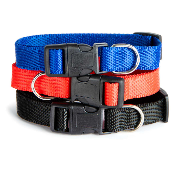 Adjustable Nylon Dog Collar, Assorted Colors, 15"-18" - 15"- 18" 15"- 18" 