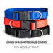 Adjustable Nylon Dog Collar, Assorted Colors, 15"-18" - 15"- 18" 15"- 18" 