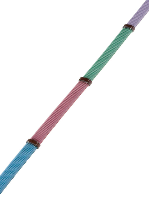 Kincade Pastel Rainbow Reins -   