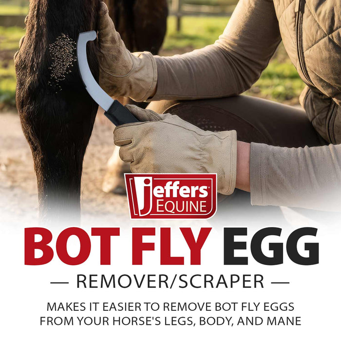 Jeffers Bot Fly Egg Scraper