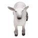 Little Buster Champion Dorset Market Lamb -   