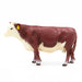 Little Buster Hereford Cow -   