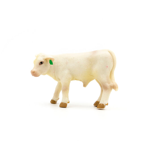 Little Buster Charolais Calf -   