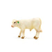 Little Buster Charolais Calf -   