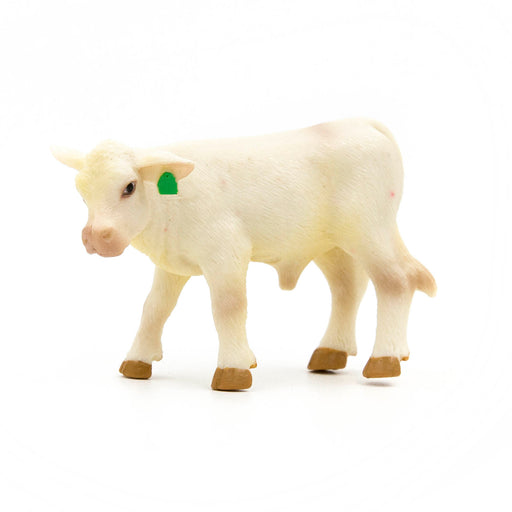 Little Buster Charolais Calf -   