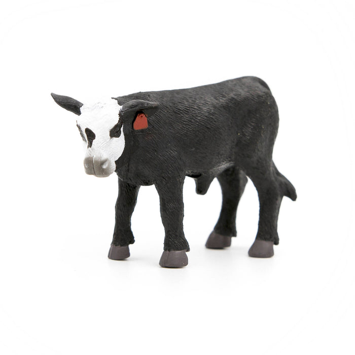 Little Buster Black/White Face Calf -   