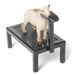 Little Buster Sheep Fitting Stand -   