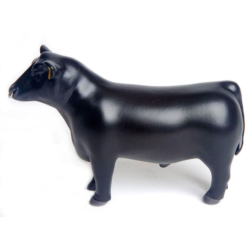 Little Buster Angus Show Bull w/Nose Ring -   